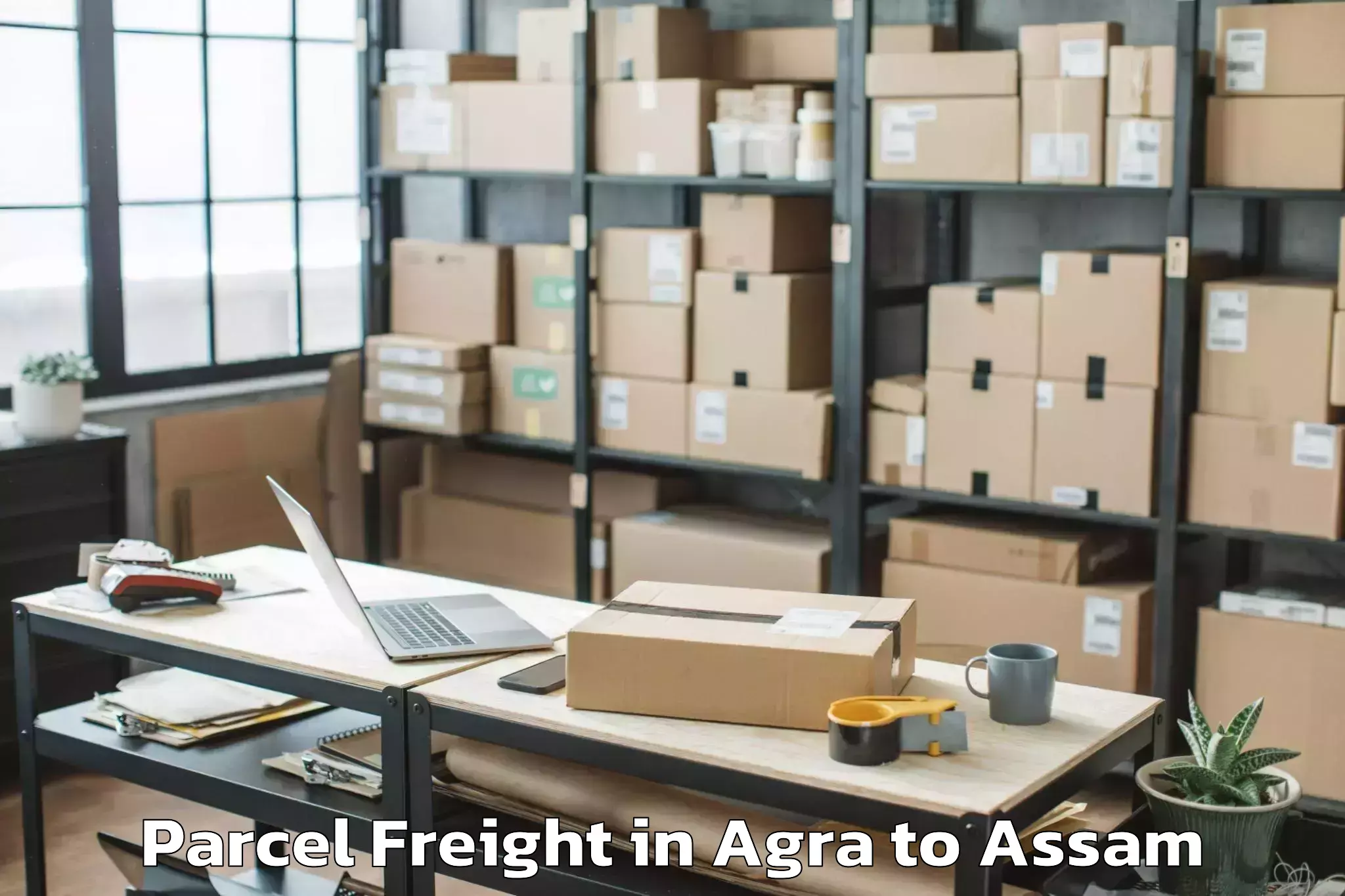 Easy Agra to Nalbari Parcel Freight Booking